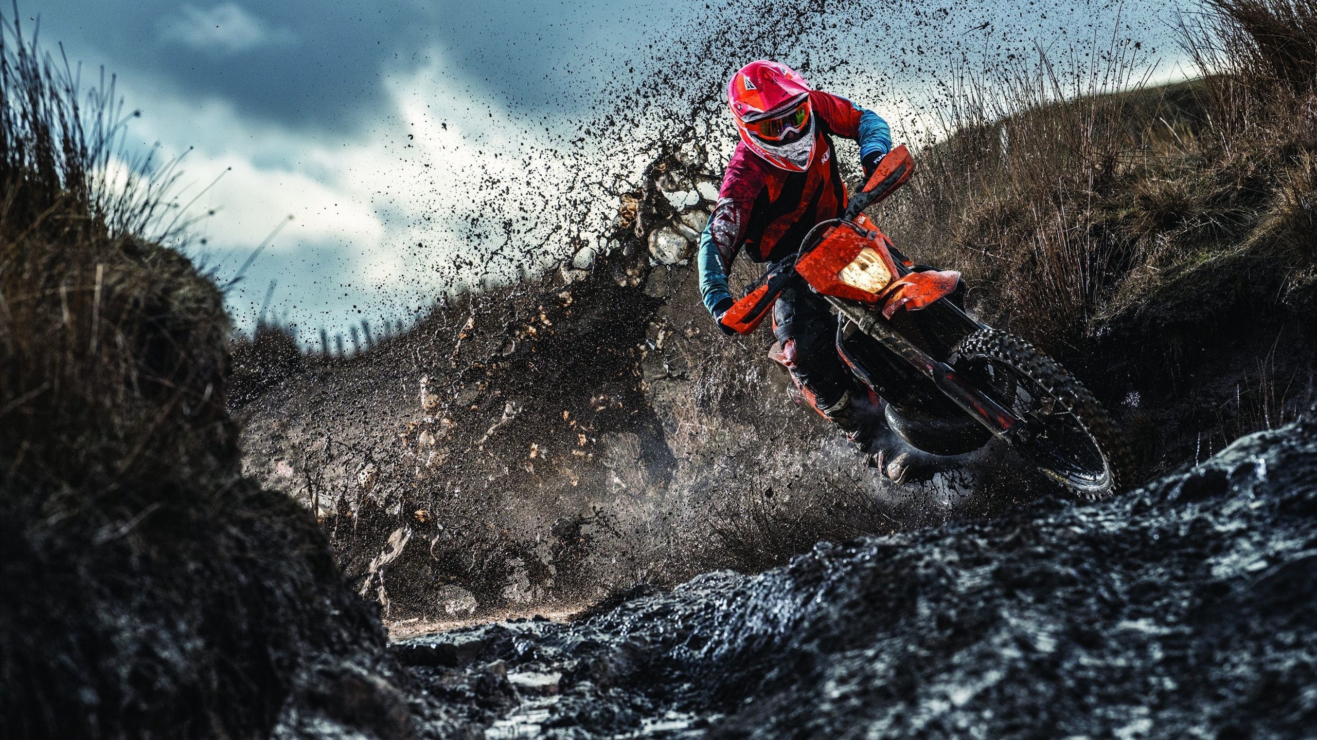 “笑声与奔跑同行!牛仔3K亲子跑点燃香港街头”